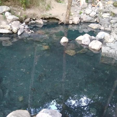 Chalet Bois Au Milieu Des Pyrenees L'Hospitalet-pres-l'Andorre Ngoại thất bức ảnh