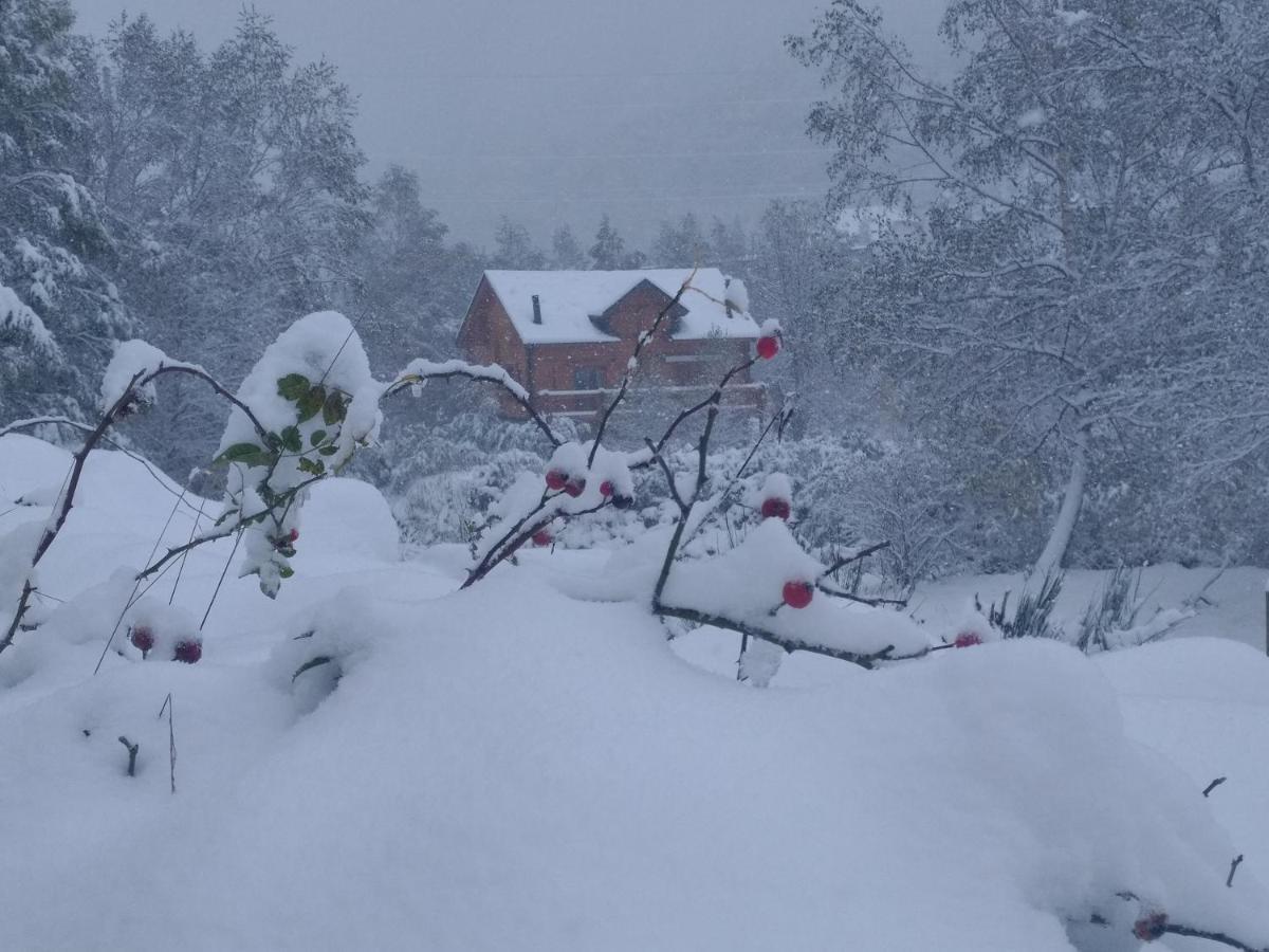 Chalet Bois Au Milieu Des Pyrenees L'Hospitalet-pres-l'Andorre Ngoại thất bức ảnh